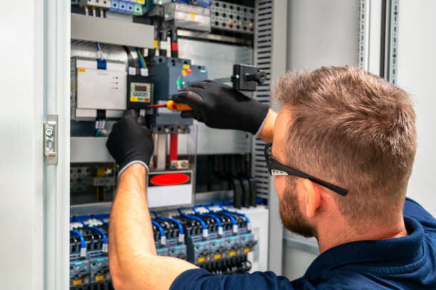 Best Electric Panel Repair  in Steelevle, IL