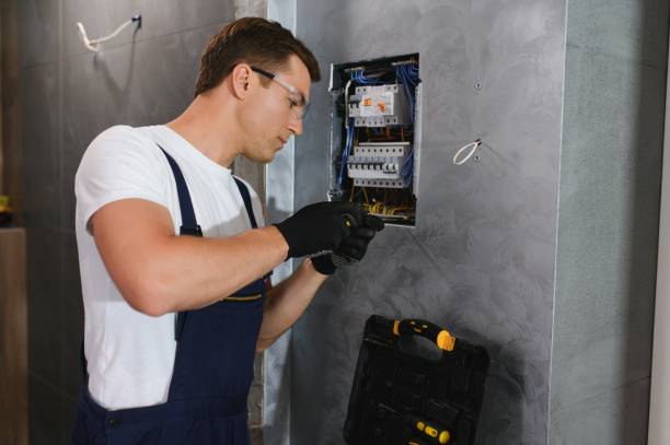 Best Generator Installation Services  in Steelevle, IL