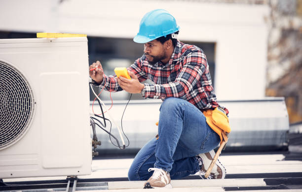 Best Electric Panel Repair  in Steelevle, IL