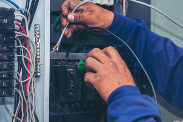 Best Electrician for Home Renovation  in Steelevle, IL